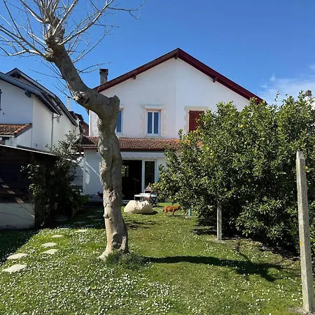 Holiday home Maison Piscine Jardin Parking Biarritz